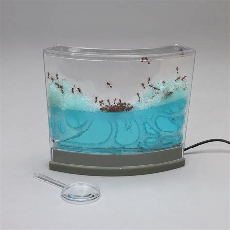 Ant Farm Gel Diy